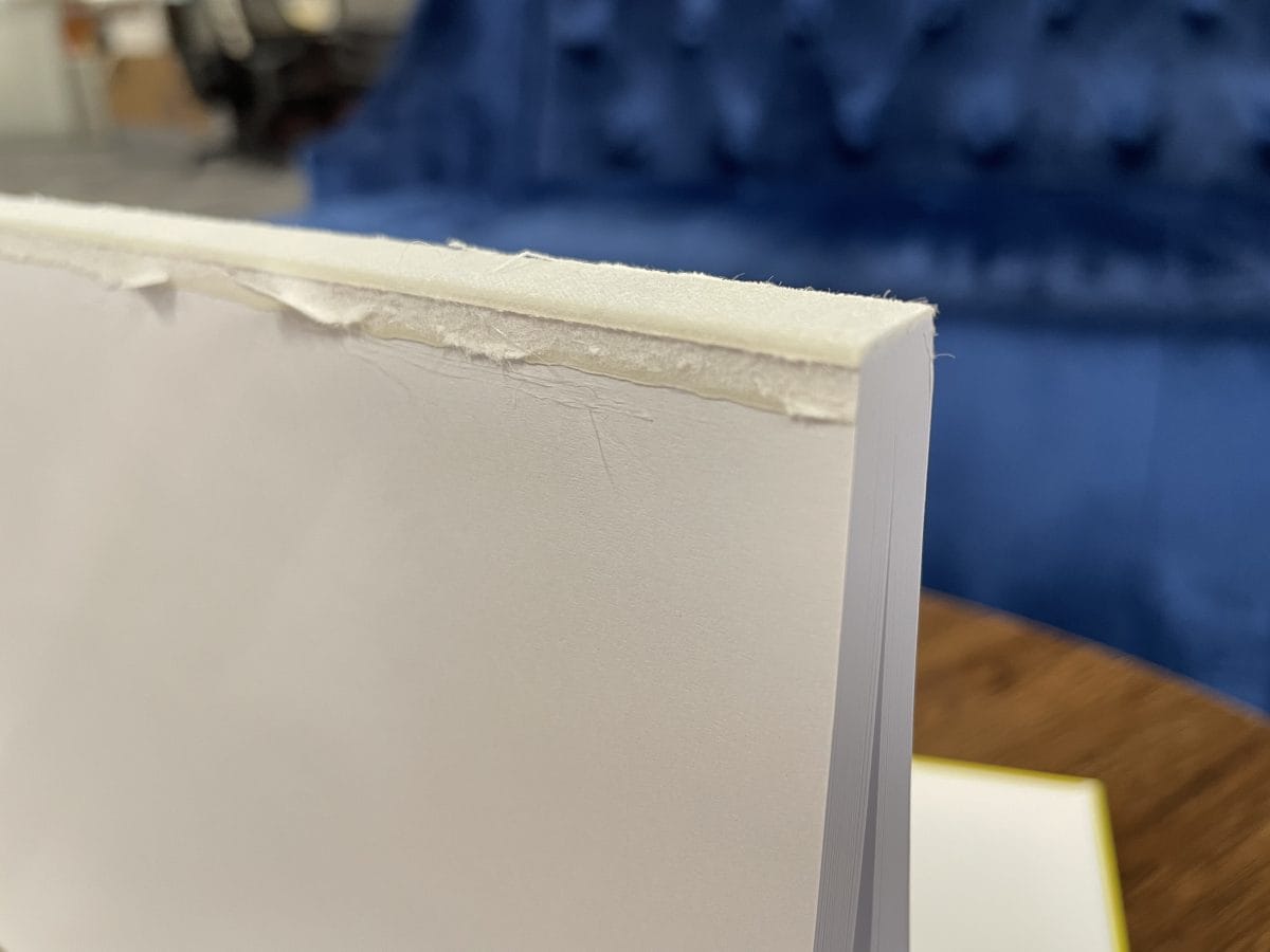 A close-up of a book block ripped from its cover, showing the linen and glue binding the pages together.