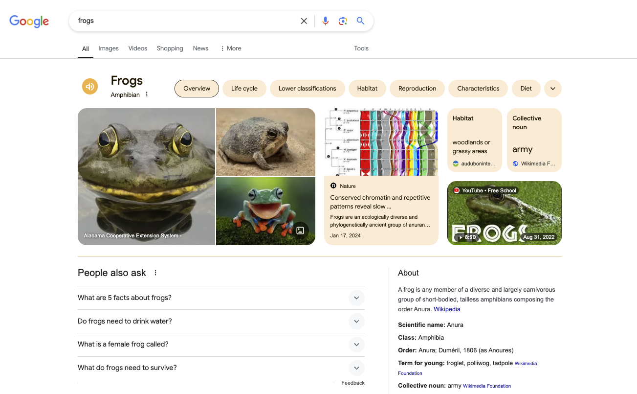 A search results page without ads - the page results are informational