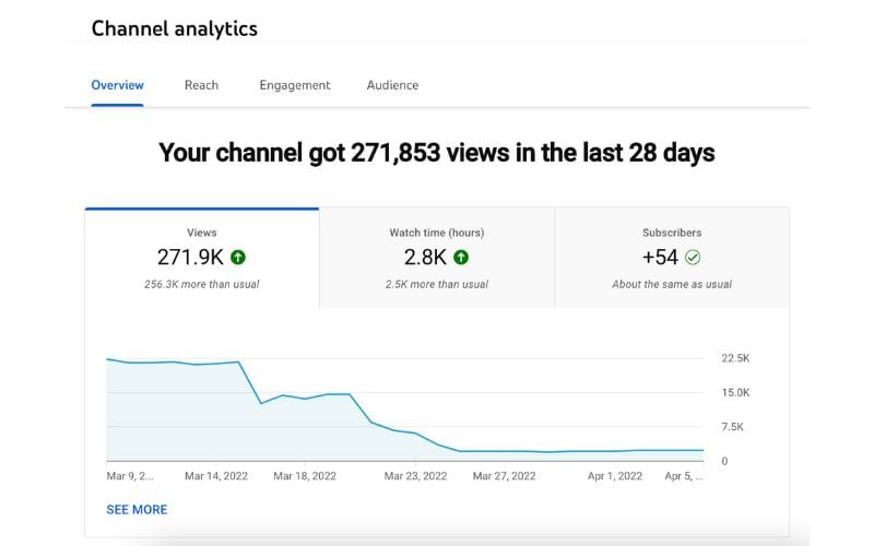 A sample view of YouTube analytics