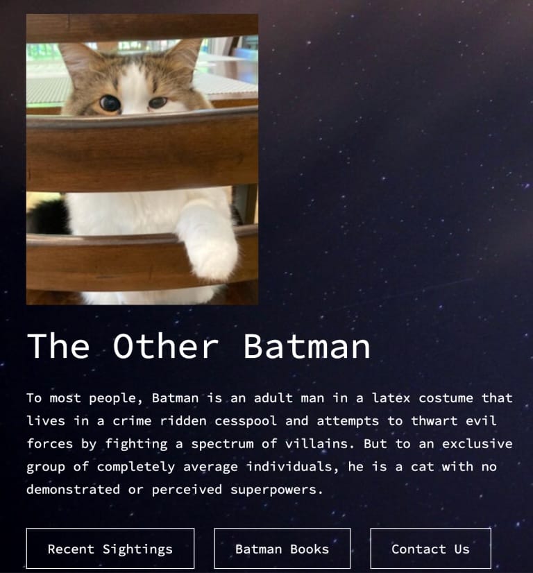 Sample site about Chelsea's cat Batman