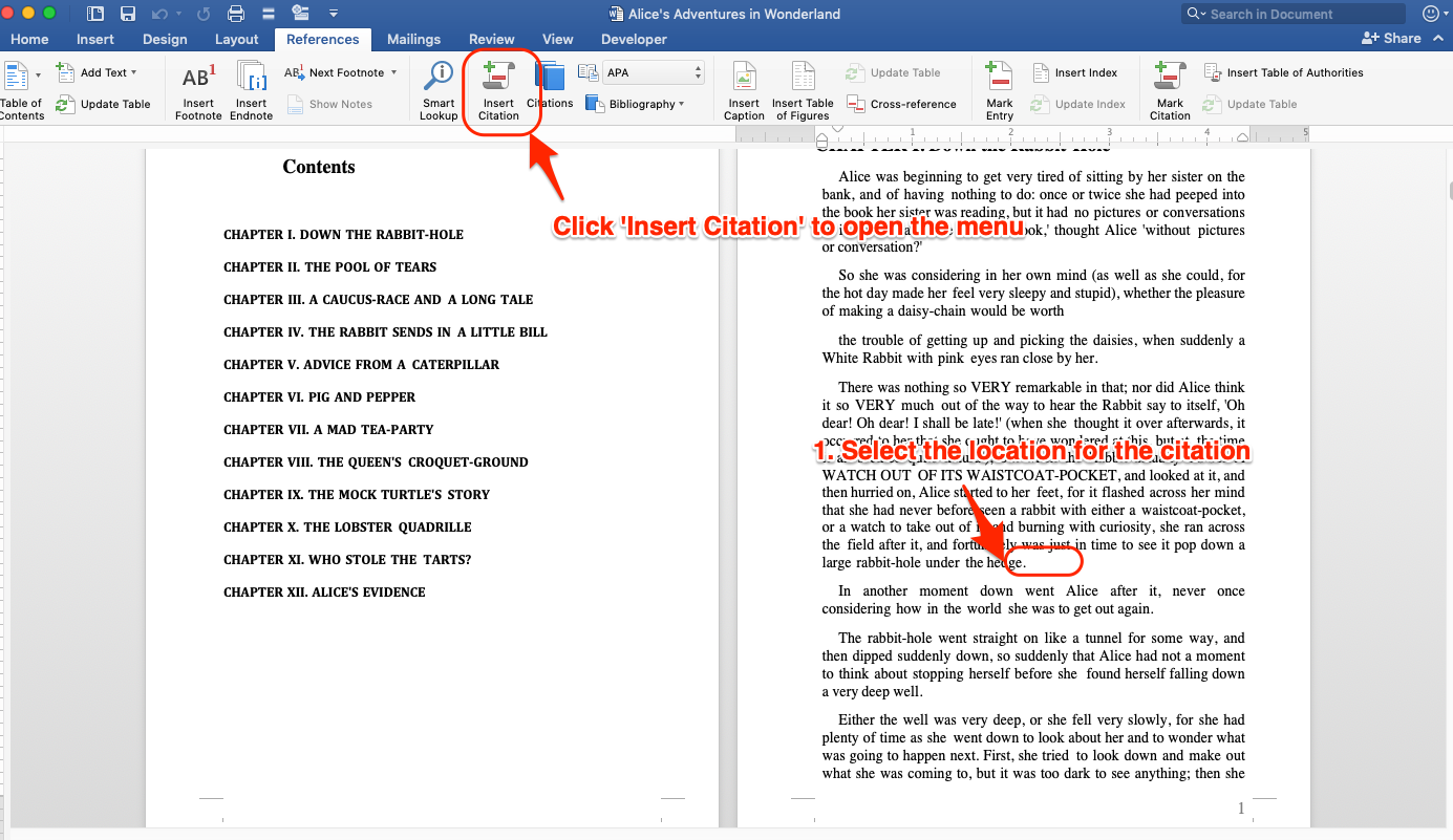 Insert citation in MS Word for nonfiction book formatting