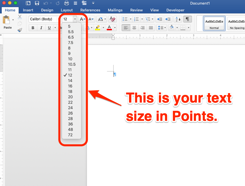 Text size in Points, in MS Word