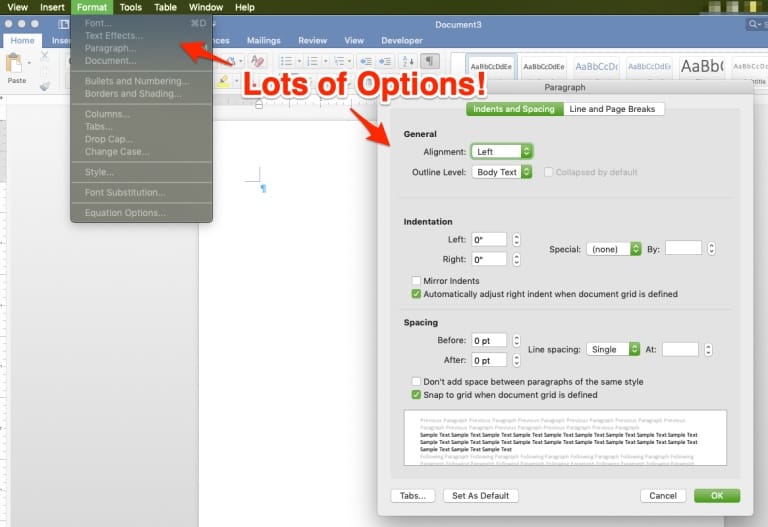 Microsoft Word formatting options