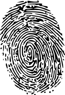 Vector image of a fingerprint