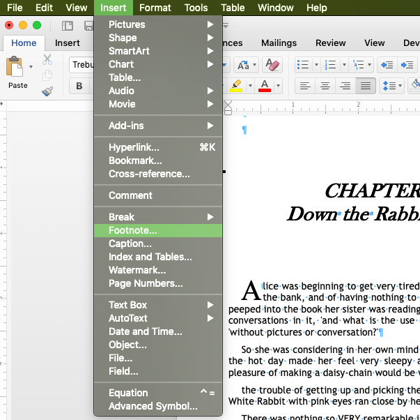 MS Word Insert menu for adding Footnotes and Endnotes