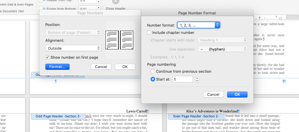 Adding page numbers in Microsoft Word