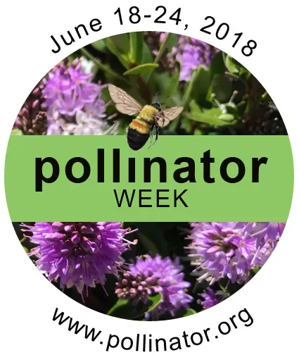 2018 Pollinator Week logo