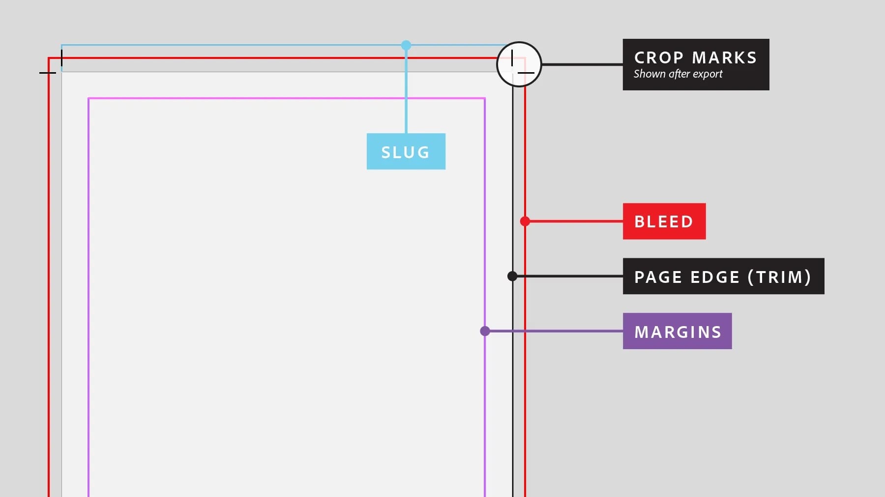 Bleed, margins, and page edge outlined in different colors