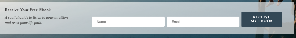screen capture of Phoebe Garnsworthy's homepage email capture banenr