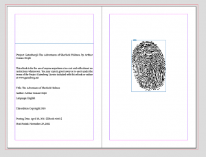 Final sizing and placement of image in InDesign