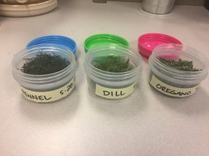Dried and ground herbs from the Lulu Green team
