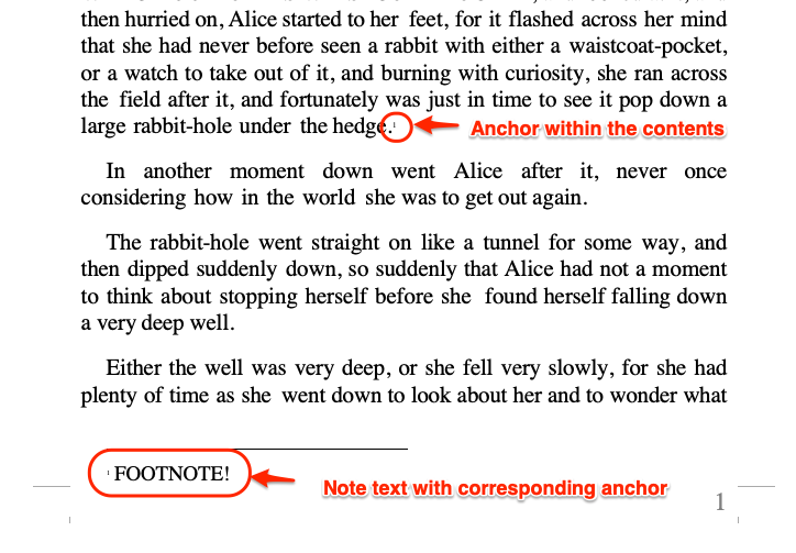 On page view of Footnotes using MS Word