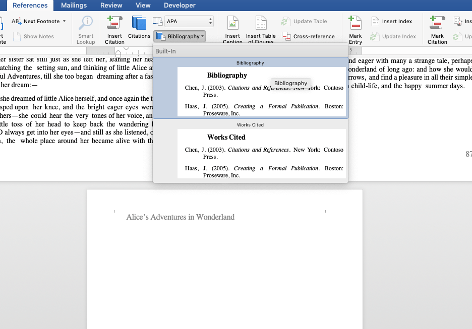 Bibliography options provided by Word for nonfiction book formatting

